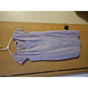 Ann Taylor Petite Lavender dress